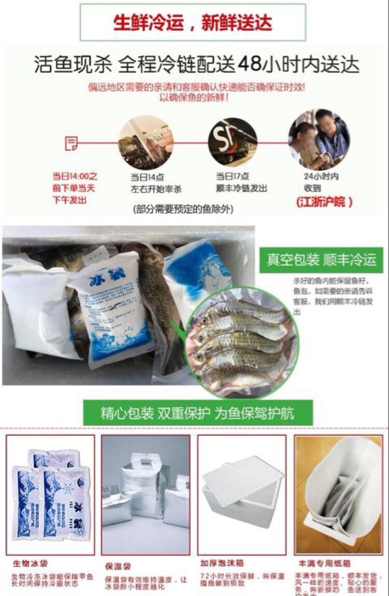 黄金鲫