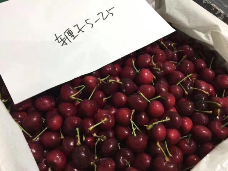 车厘子