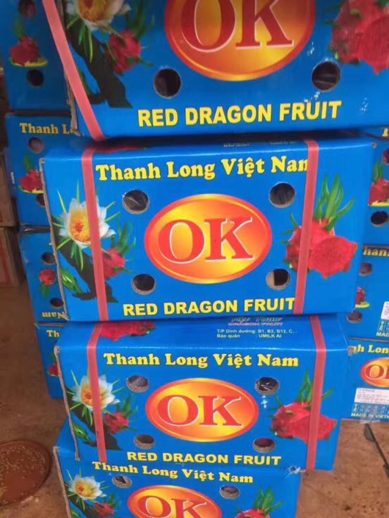 红心火龙果