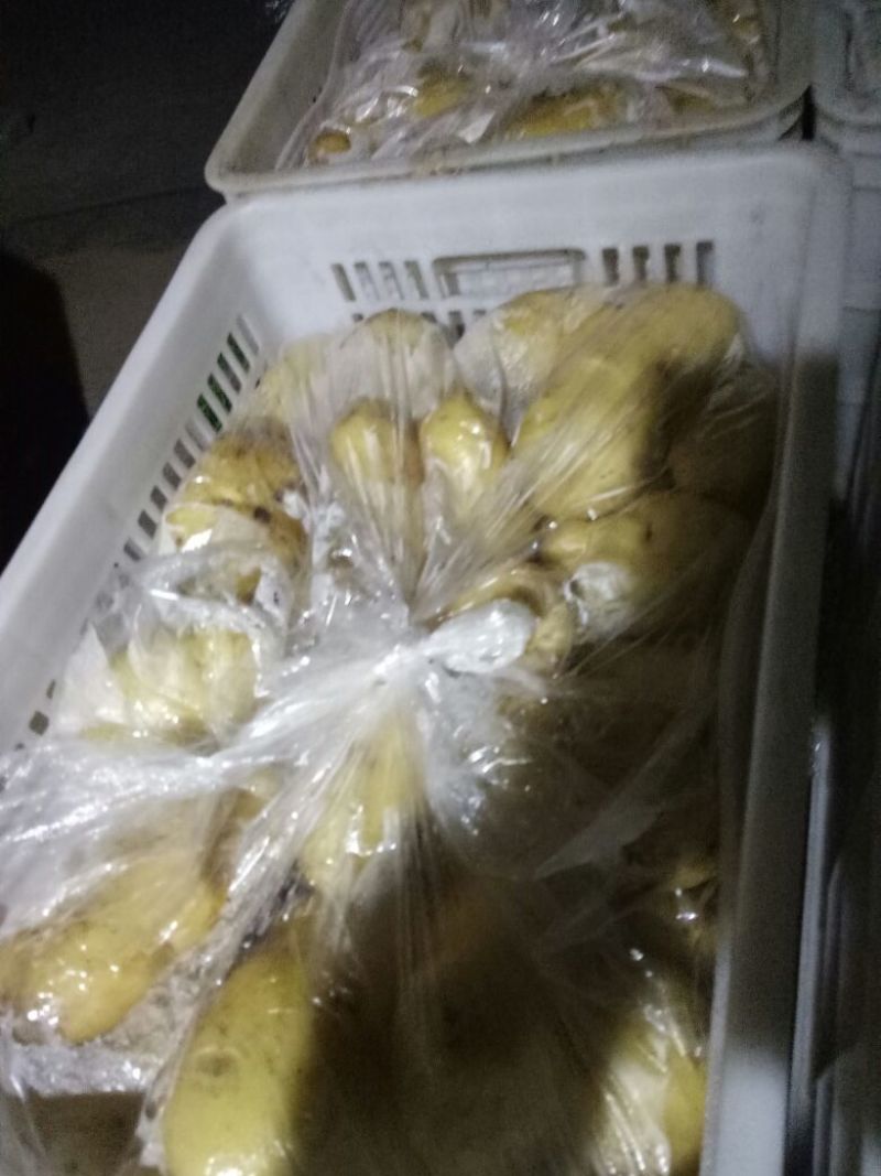 土豆3两以上精品