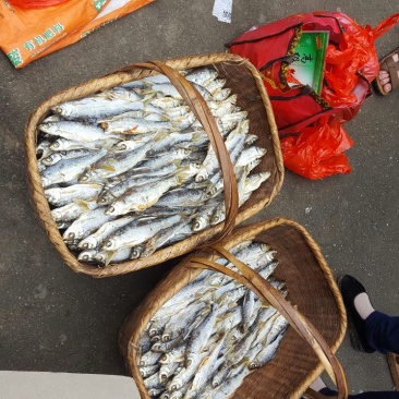火焙鱼稻谷香味