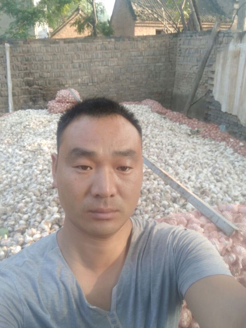 金乡红蒜混级统货干蒜