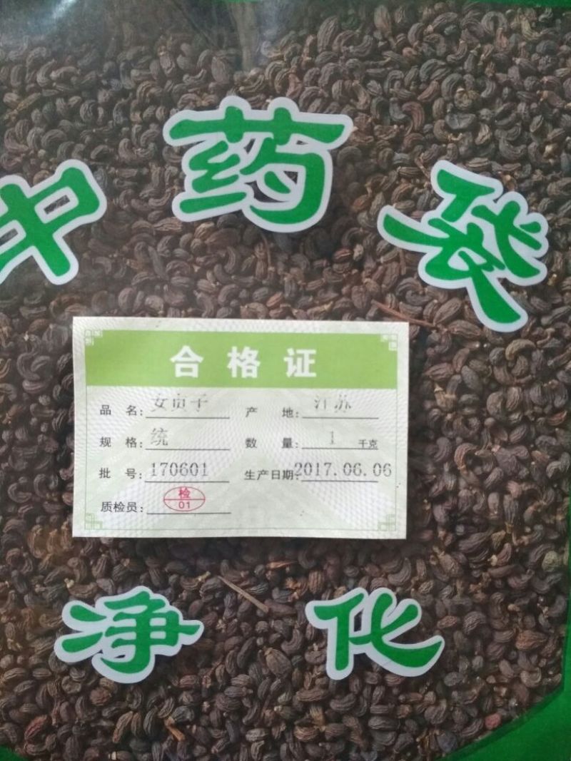 女贞子