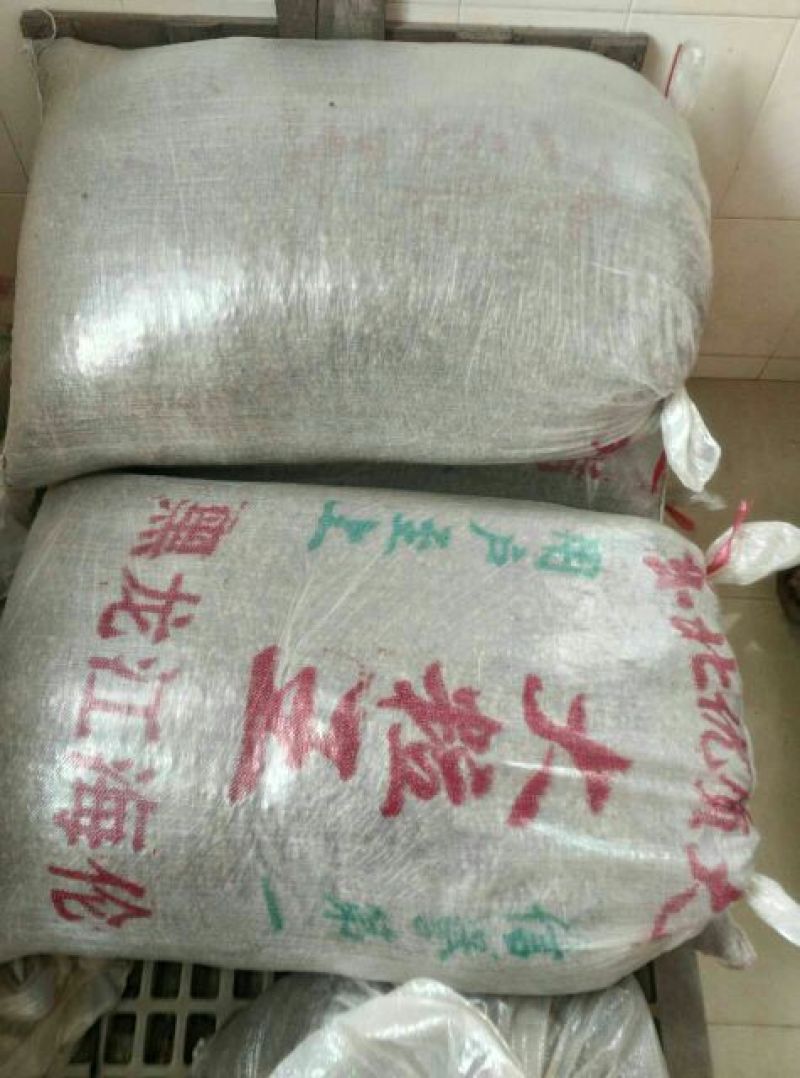 豆豉
