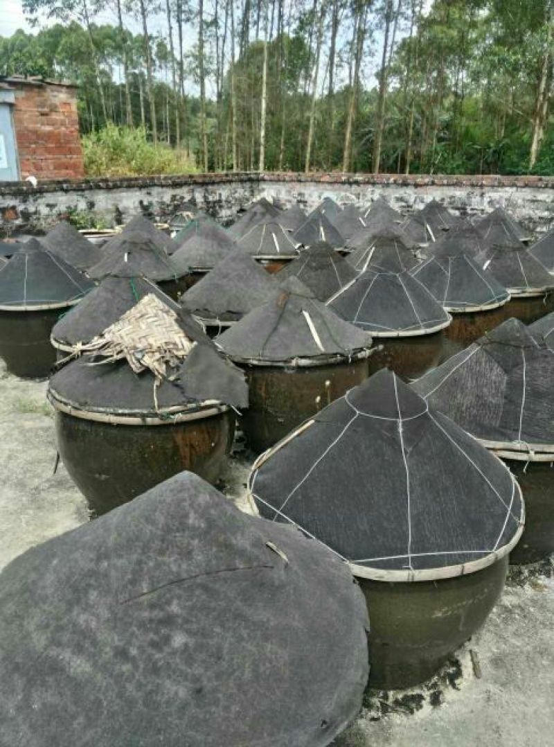 豆豉