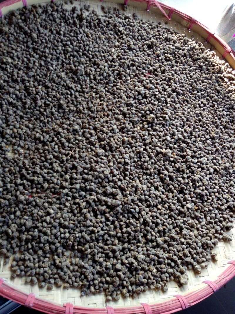 豆豉