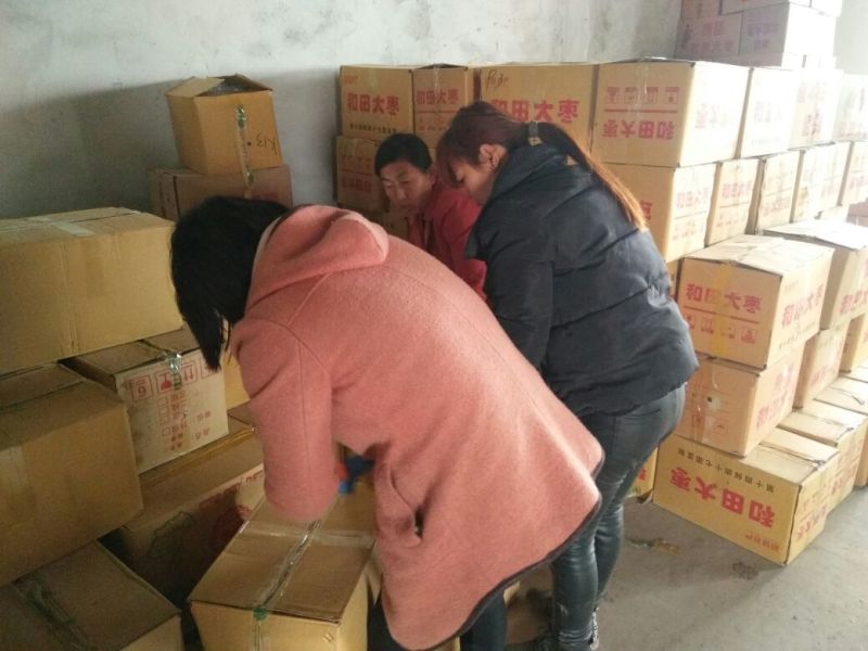 《新疆红枣》和田大枣网红电商社区配送加工厂直供