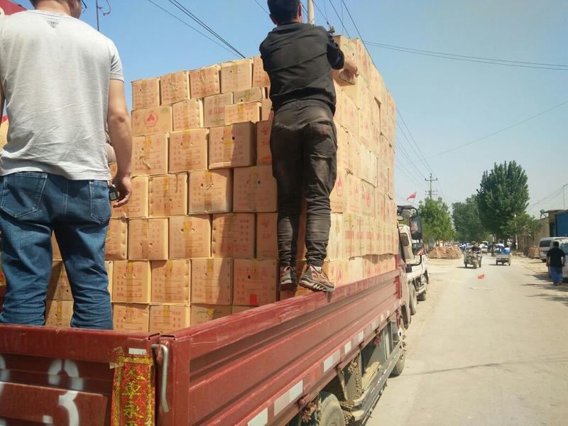 新疆红枣山东实力供应商✔和田大枣货源充足价格公道
