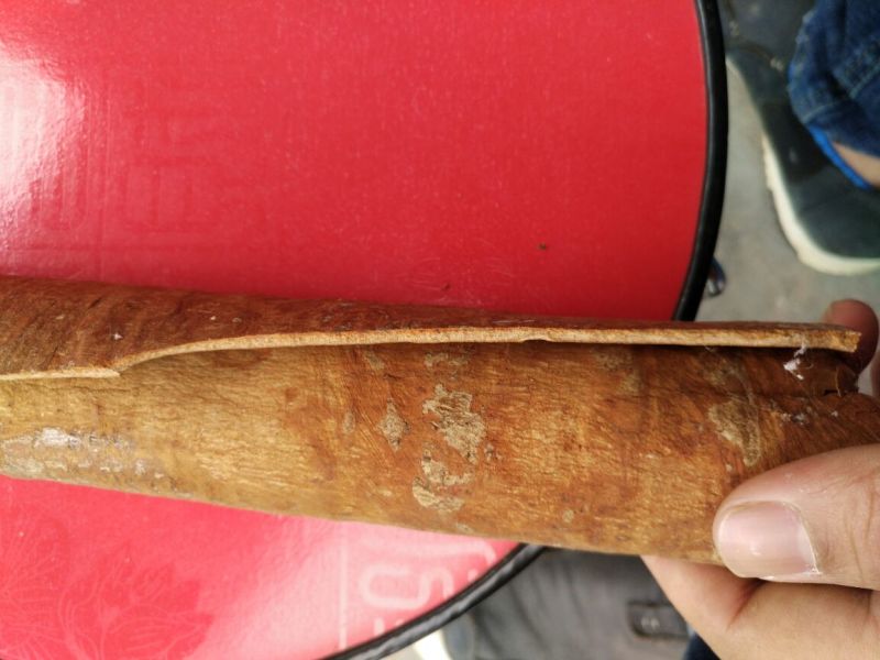 桂皮散装大通