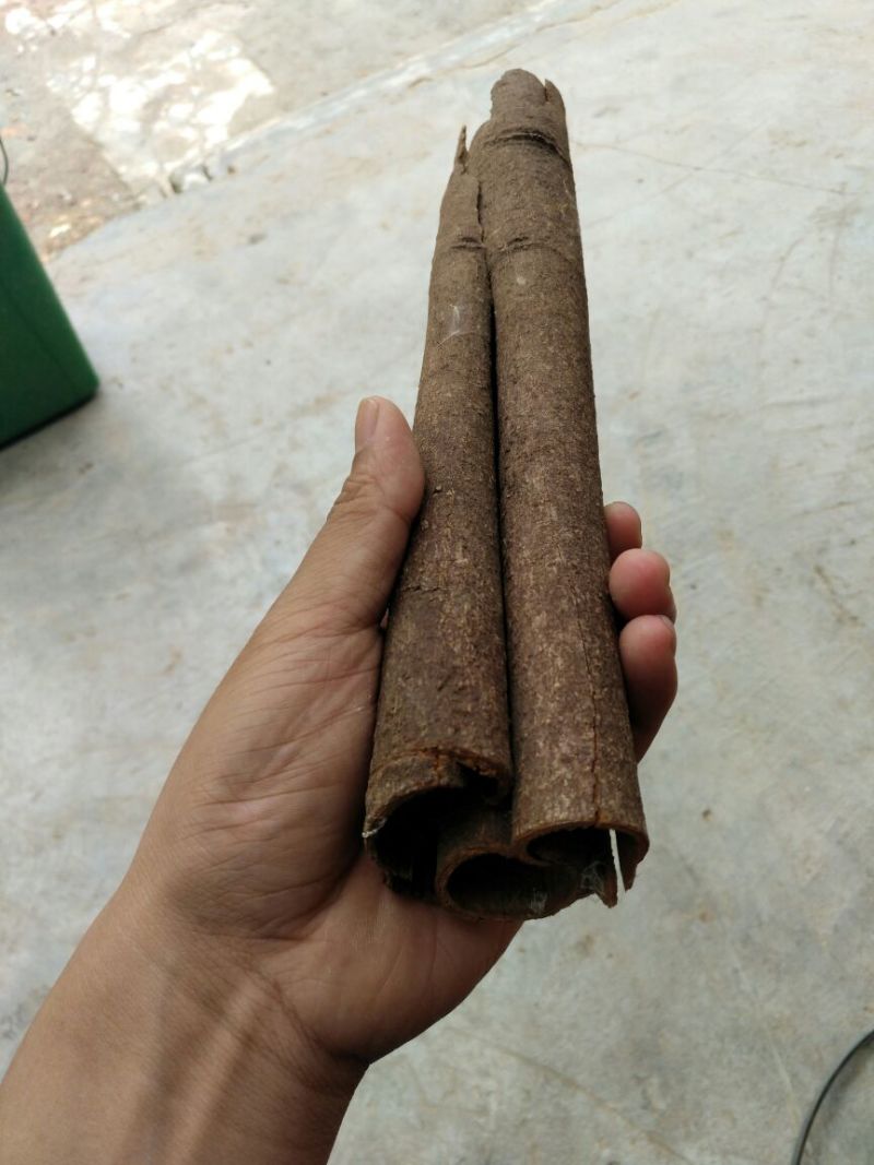 桂皮散装中通