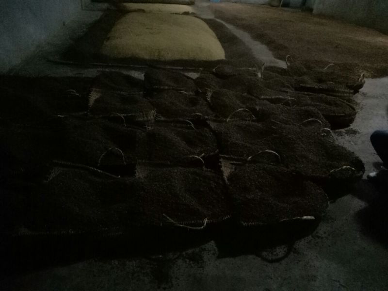 酒糟