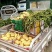 荷兰十五土豆通货3两以上