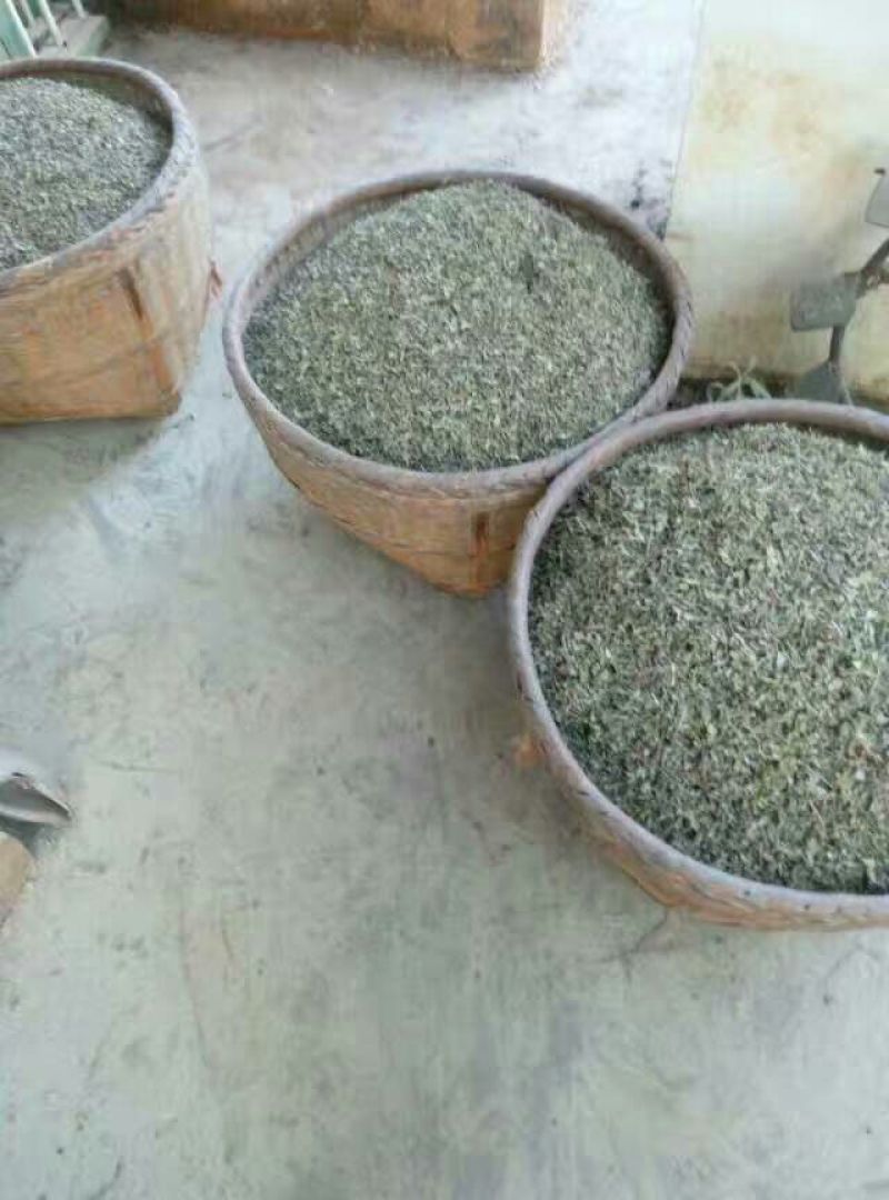 藤茶四级