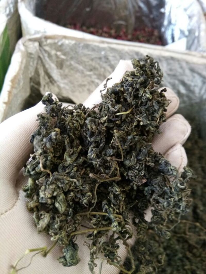 绞股蓝水洗干货散装药食同源量大从优