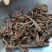 甘松青海干货量大从优欢迎选购