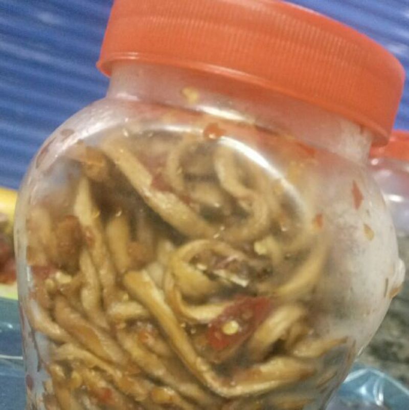 木瓜丝