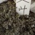 艾叶全叶统大叶够含量干货2斤起包邮量大从优