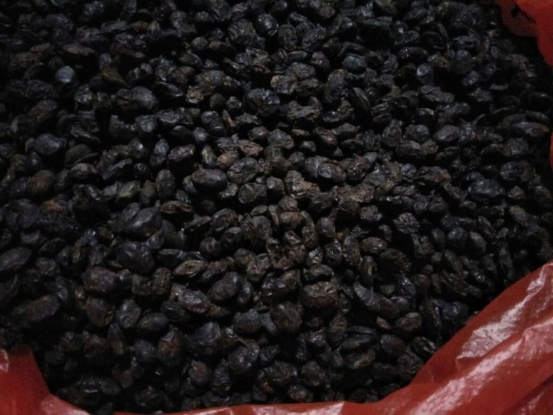 豆豉