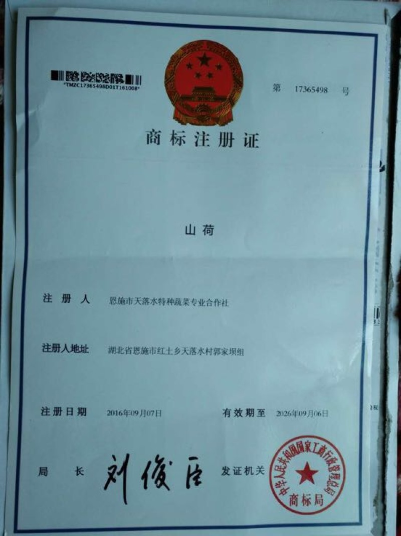 洋荷