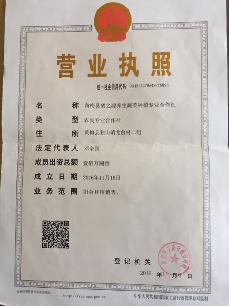洋荷