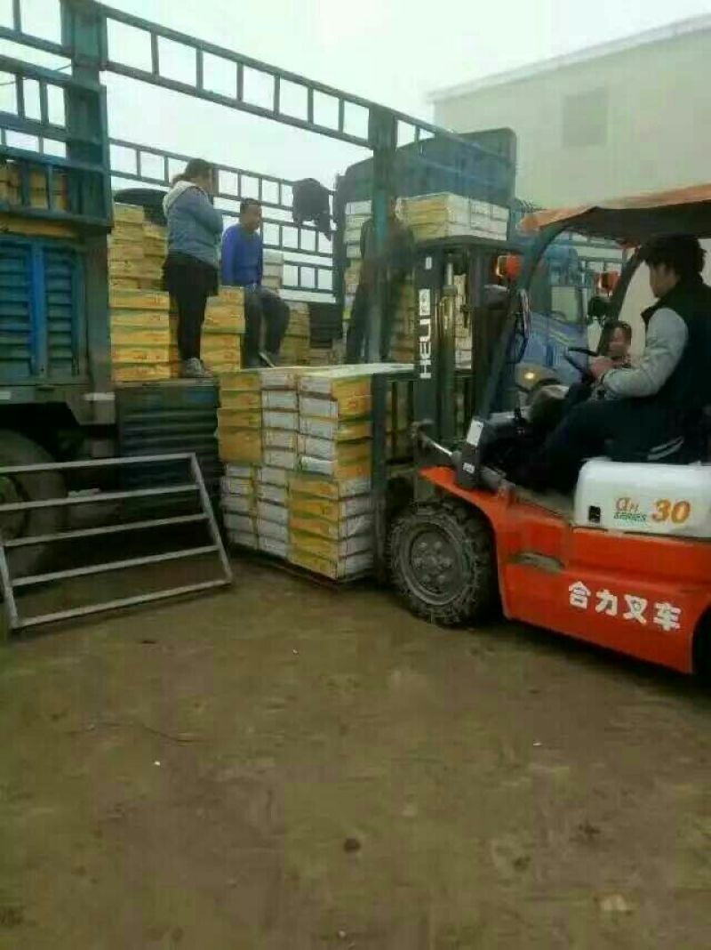 椰枣