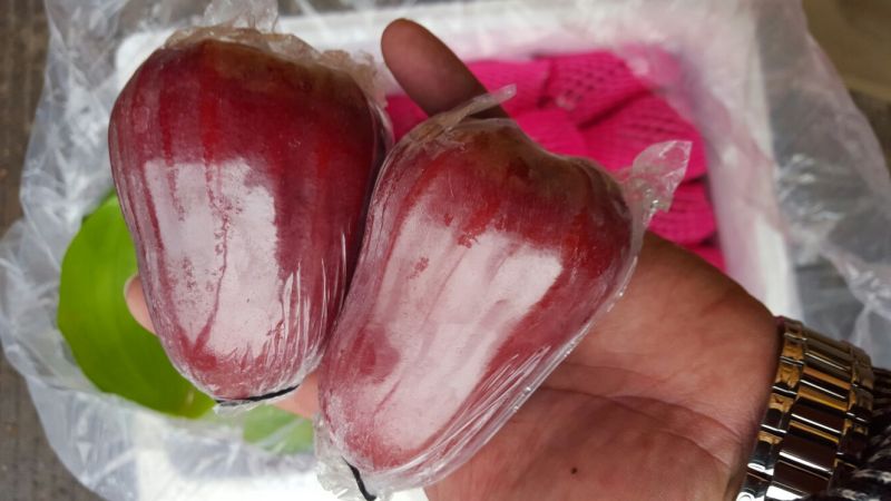 黑金刚莲雾9~11厘米