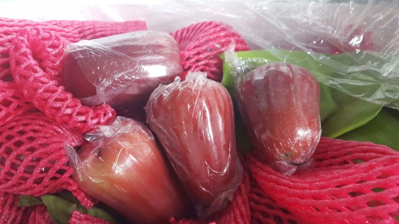 黑金刚莲雾9~11厘米