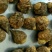 玛卡黑色