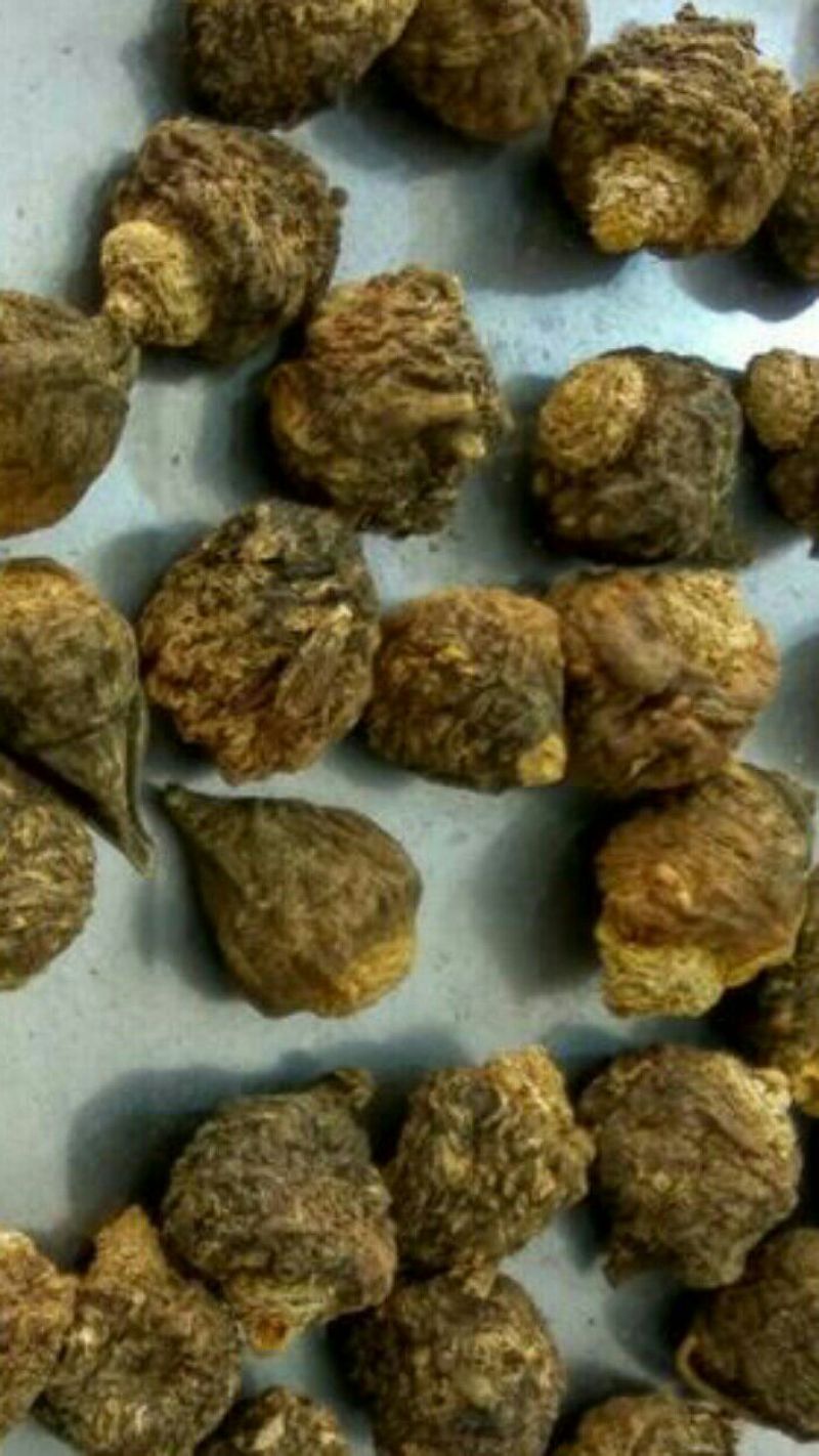 玛卡黑色