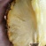 菠萝1~1.5斤