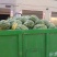 大吨位供应绿宝西瓜个大味甜
