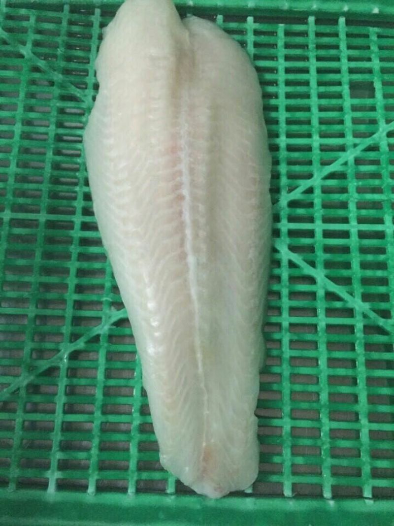 巴沙鱼