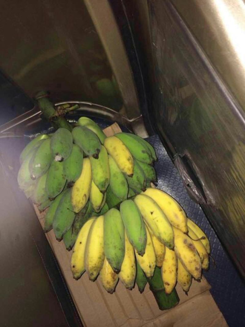 烟仔桂散装统货