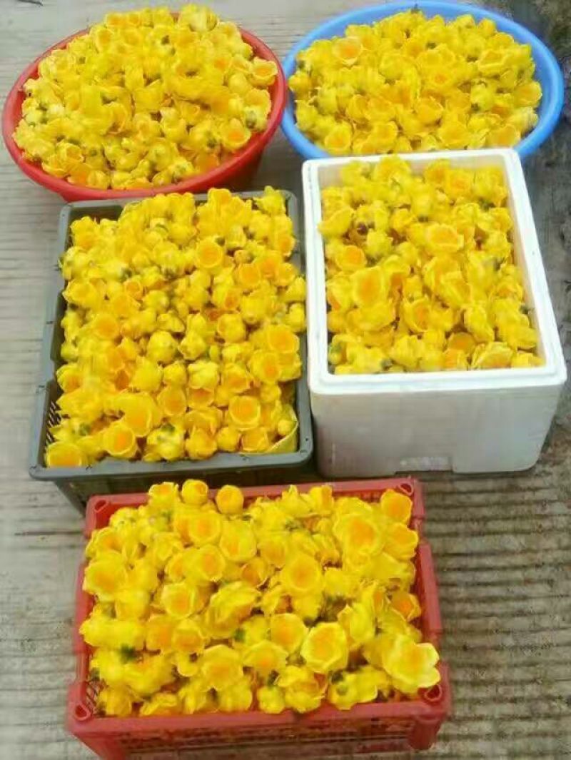 烟仔桂散装统货