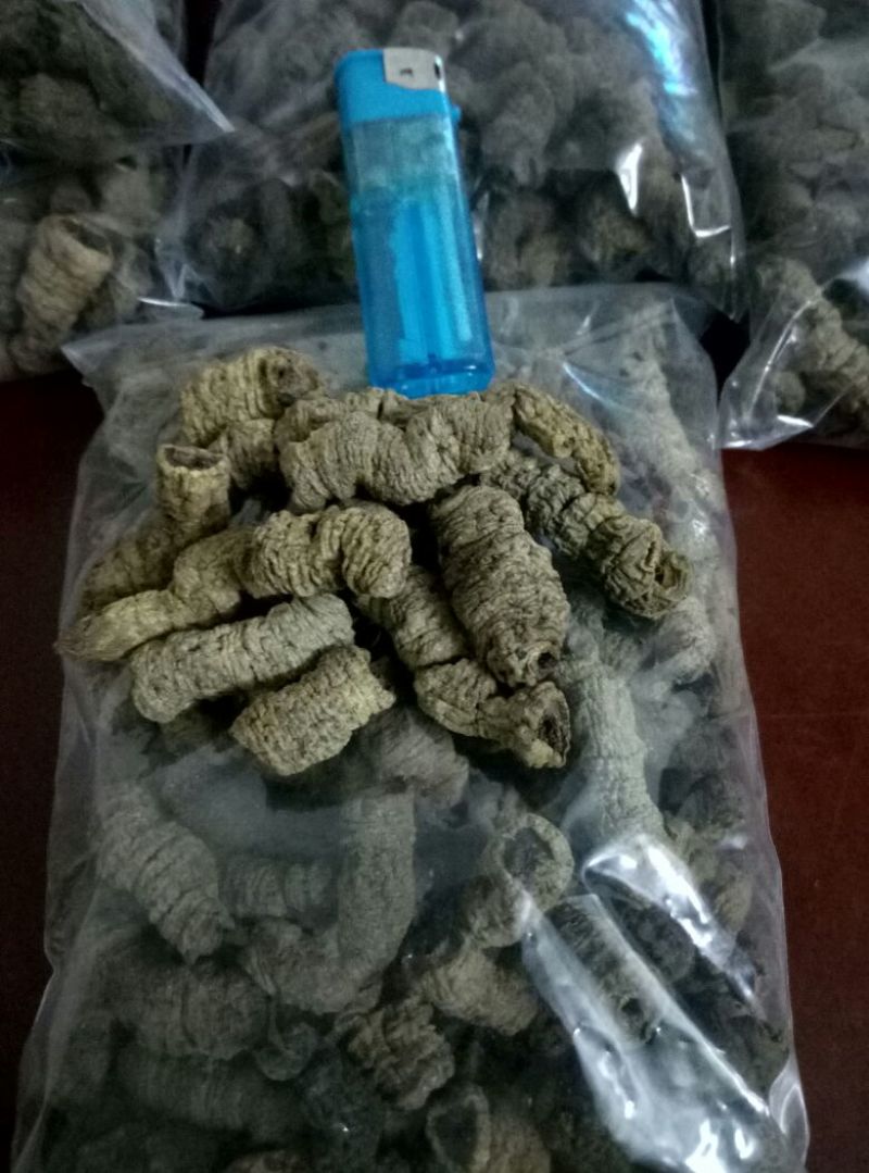 巴戟精制特级巴戟天