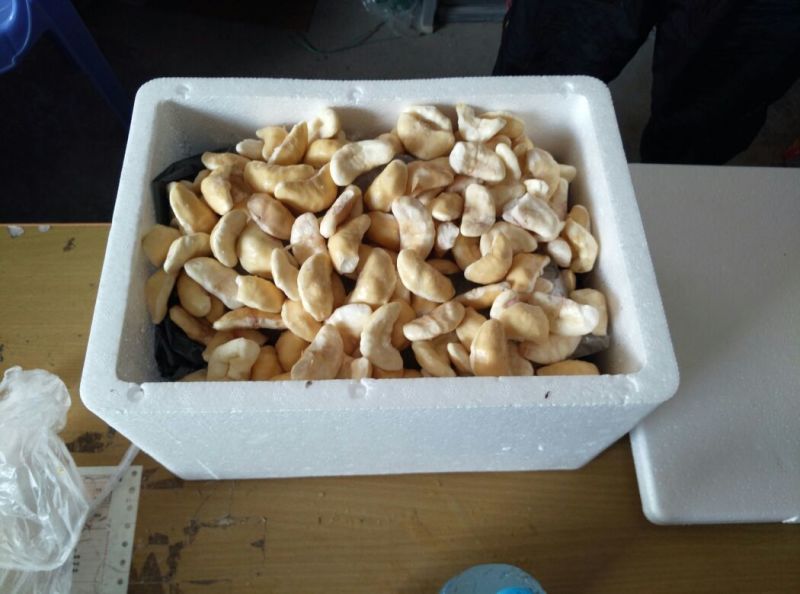 新鲜菱角家菱大量上市