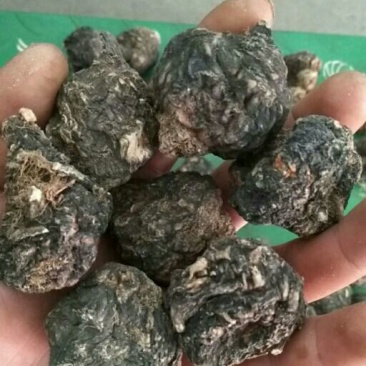 黑玛卡黑色