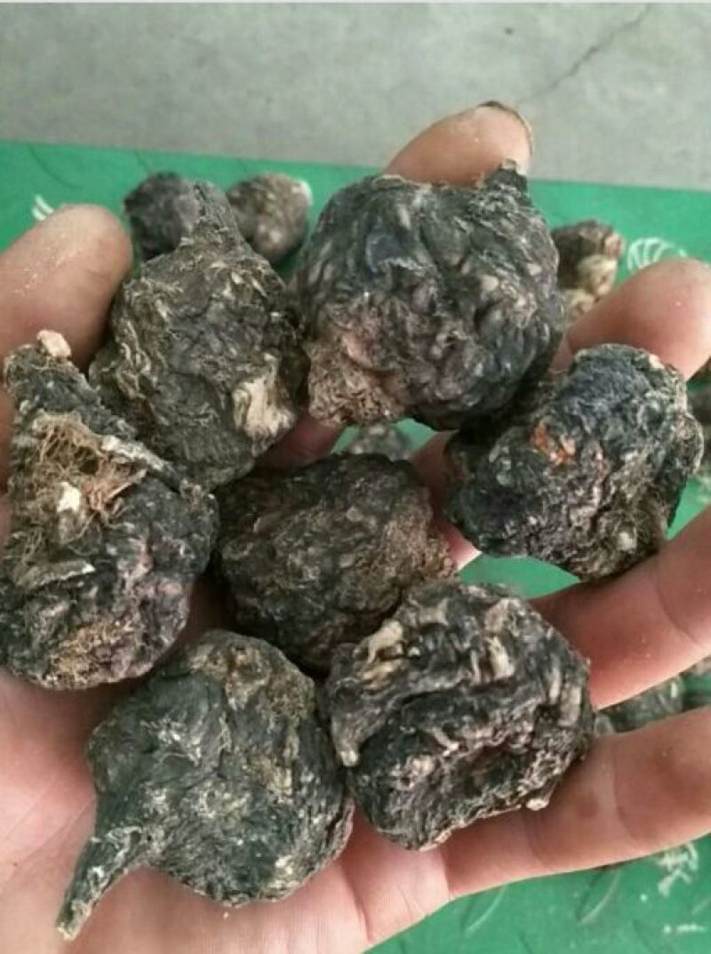 黑玛卡黑色