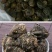 黑玛卡黑色