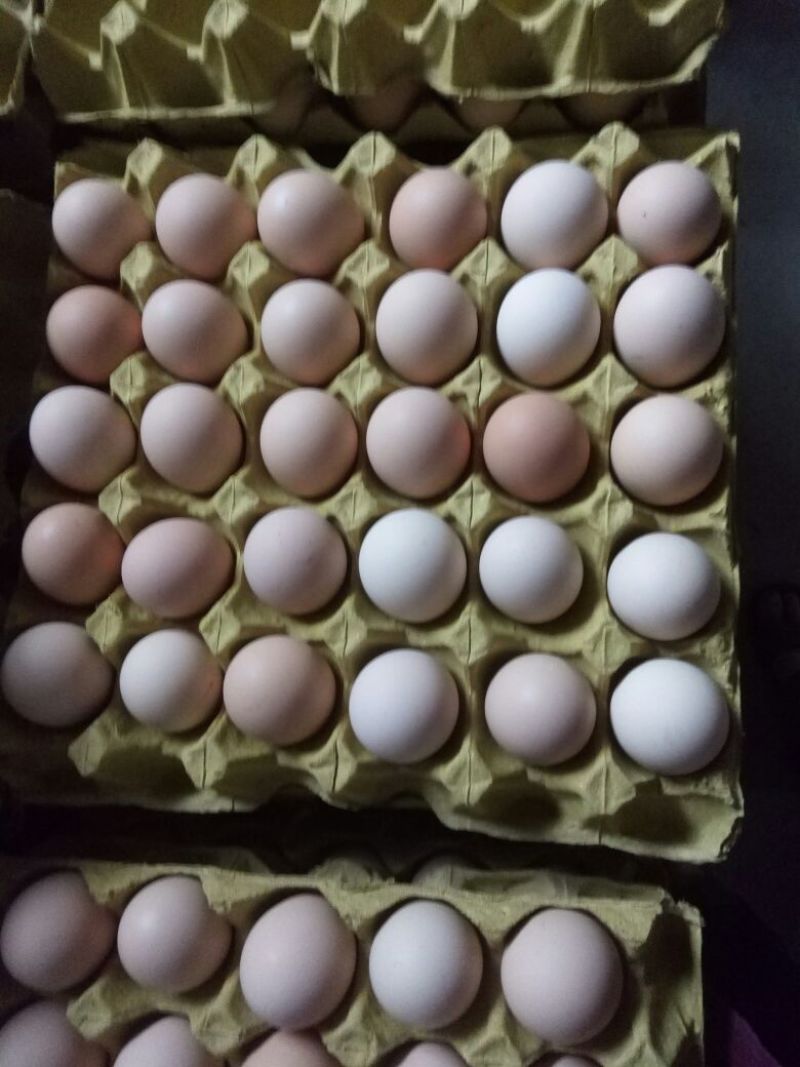 粉蛋食用50g以下
