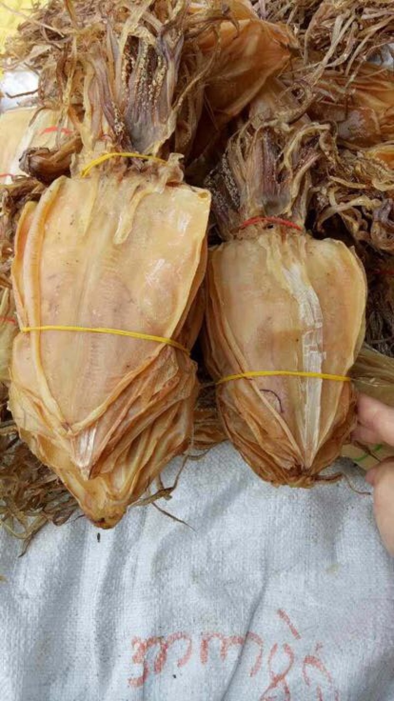 鱿鱼干