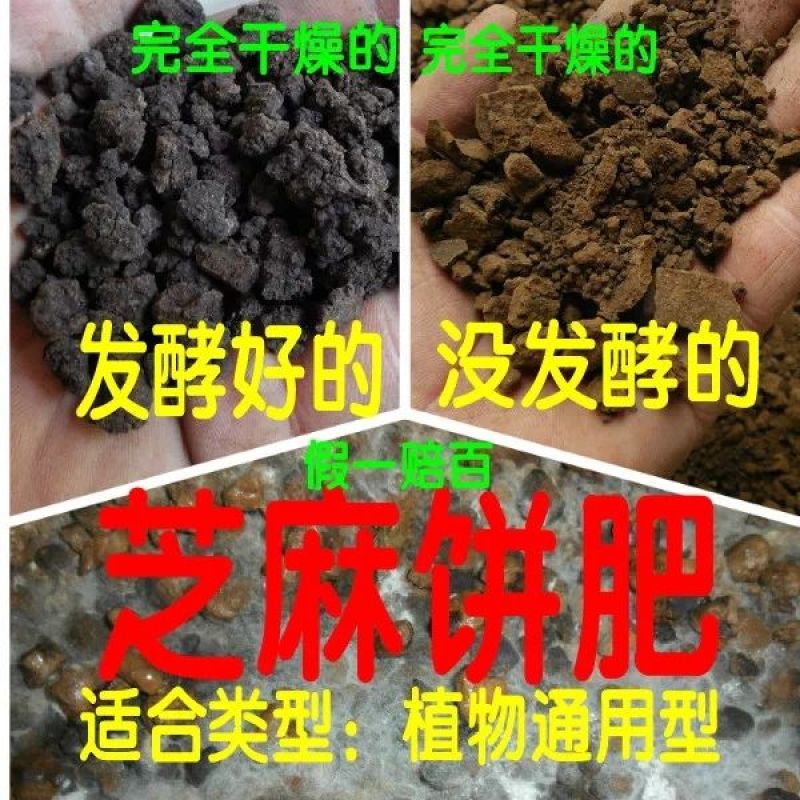 油渣散装
