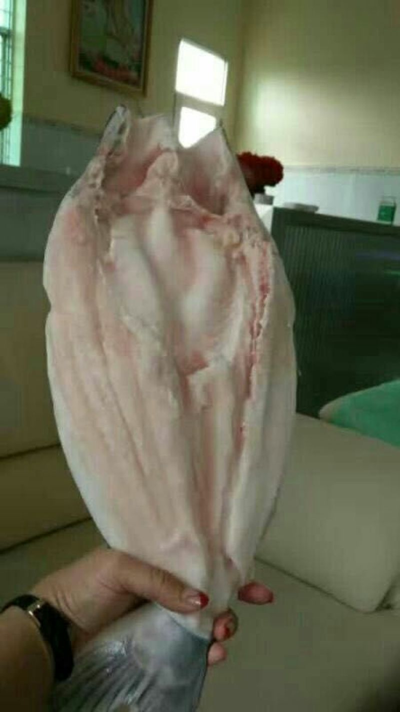 巴沙鱼