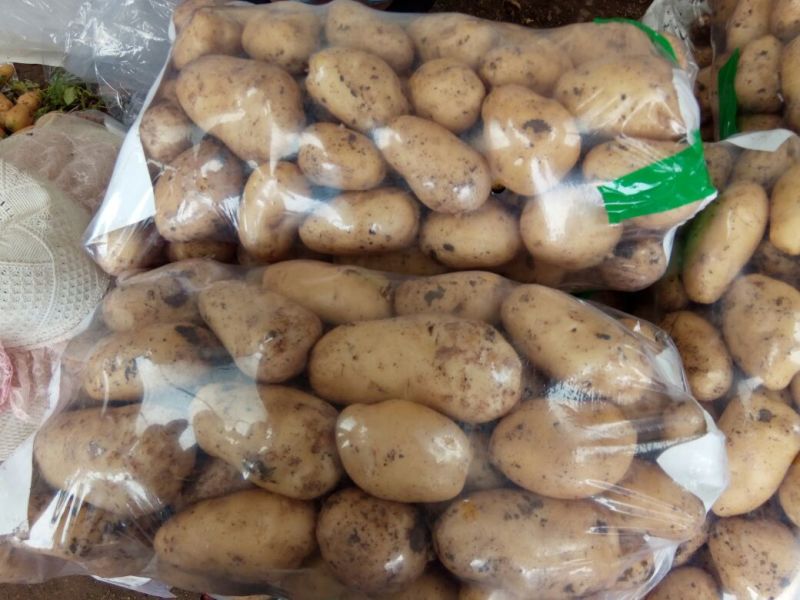 万亩土豆基地大量上市(早大白，荷兰)产地直发！！