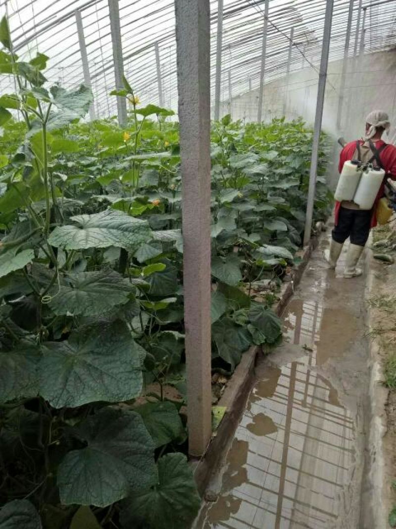 [标题]弥雾机全新（**大雾气双管土豪金）