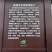 靖州杨梅2~2.5cm