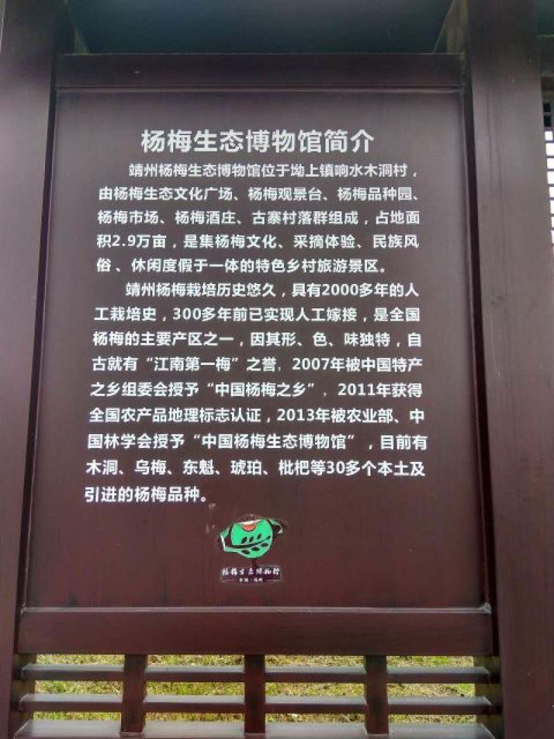 靖州杨梅2~2.5cm