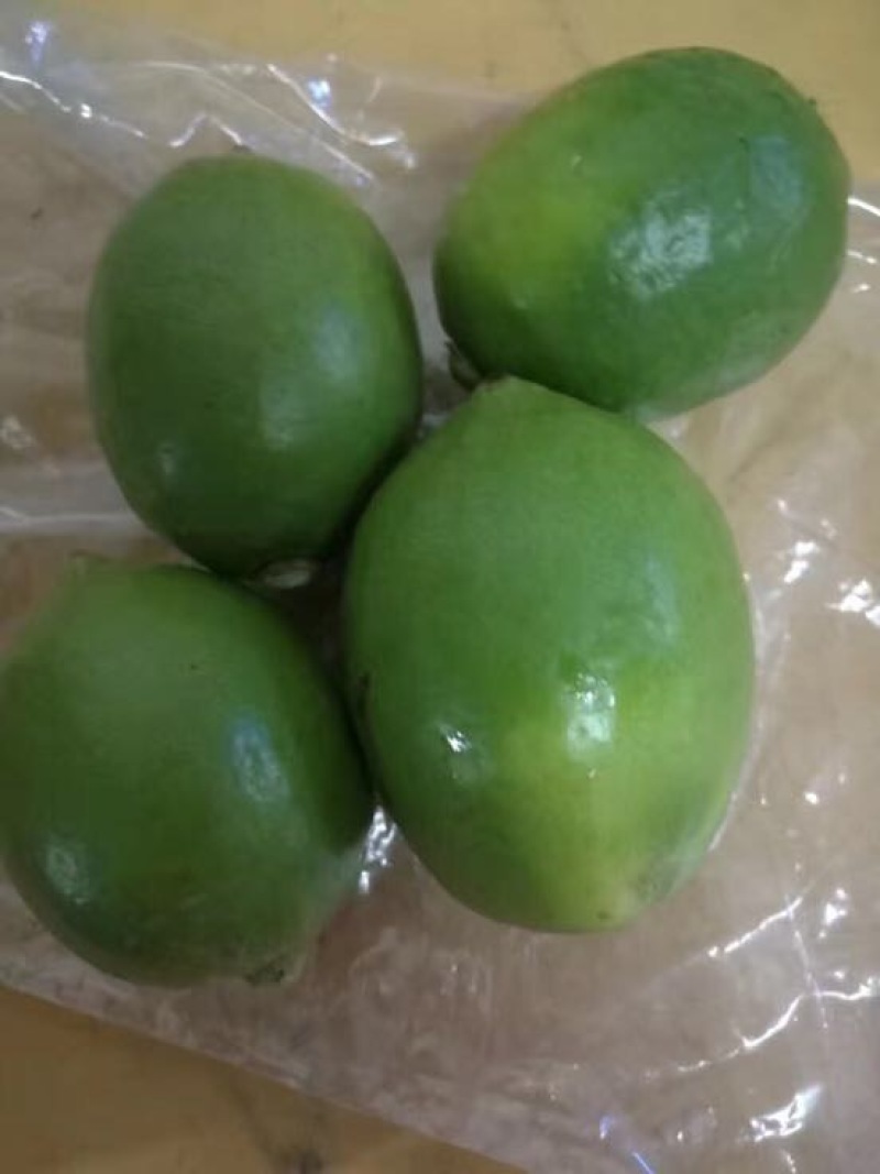 香水柠檬