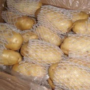 山东冷库土豆大量供应。货源充足，全国发货