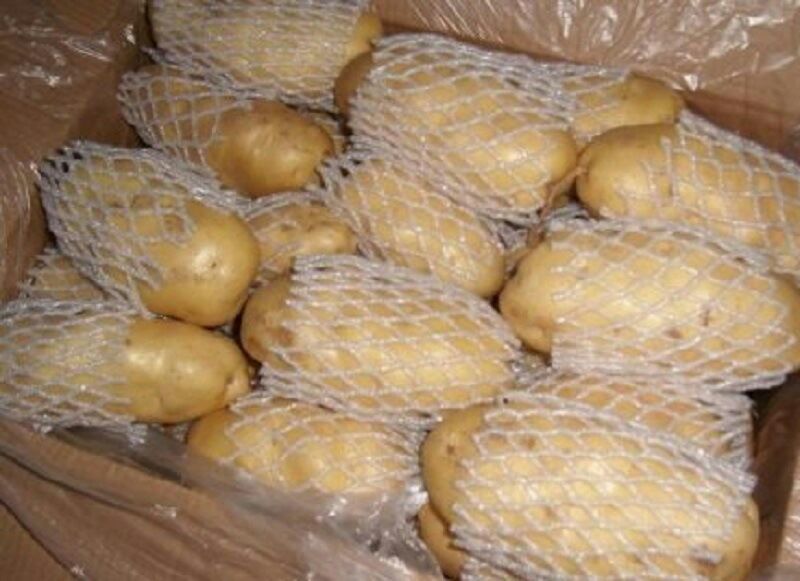 山东冷库土豆大量供应。货源充足，全国发货